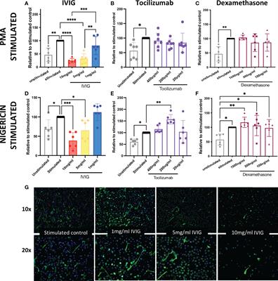 Abrogation of neutrophil inflammatory pathways and potential reduction of neutrophil-related factors in COVID-19 by intravenous immunoglobulin